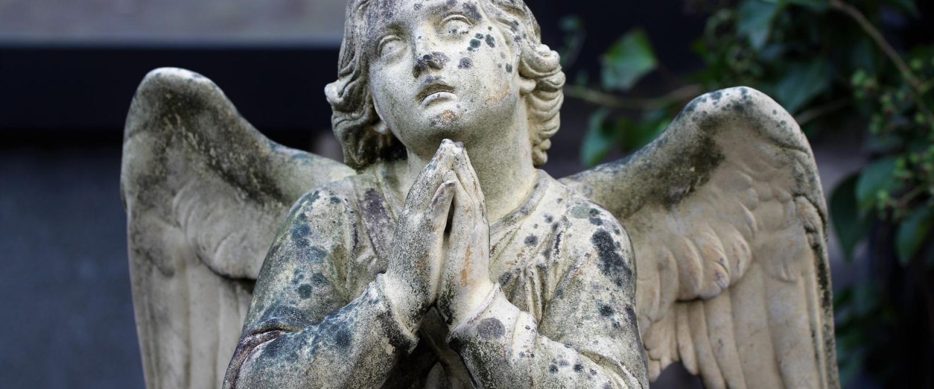 A moss-covered angel statue in prayer, captured in the Netherlands garden.