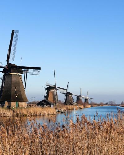 Scenic view of historic windmills along a canal in Kinderdijk, Netherlands.