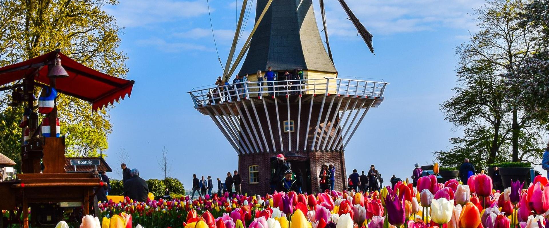 Tulip Route
