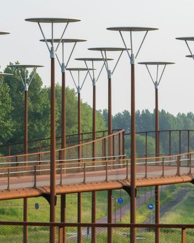 A modern cycling bridge in Zoetermeer, Netherlands with unique architecture and lush green surroundings.