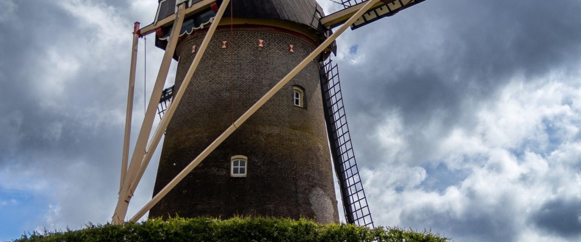 A charming windmill in Wijchen, Netherlands surrounded by vibrant grape hyacinths under a dramatic cloudy sky.
