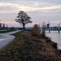 Explore the picturesque windmills of Kinderdijk during sunset, capturing Dutch heritage and serene landscapes.