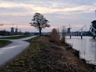 Wine Tasting in Dutch Vineyards