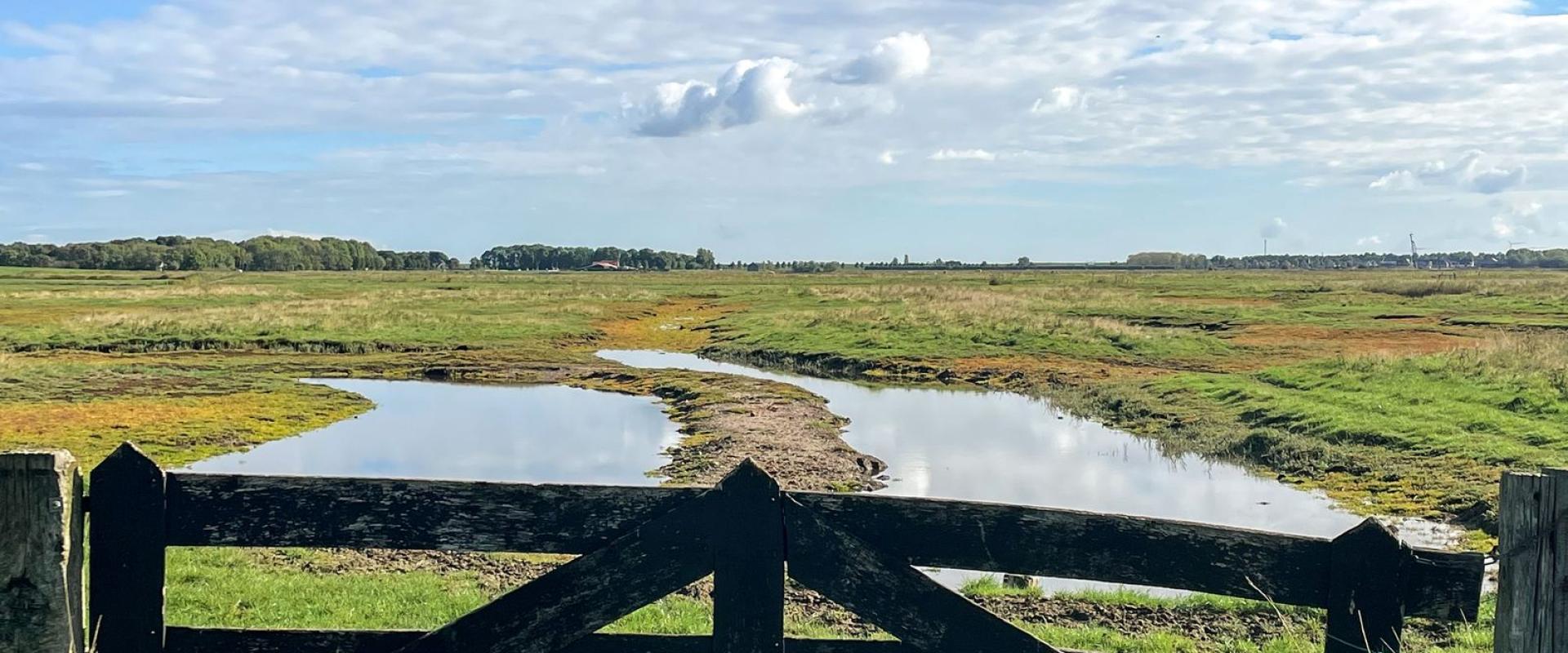Solo Reflection on the Terpen