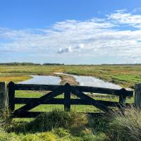 A picturesque view of a serene Dutch landscape with a rustic wooden gate and blue skies.