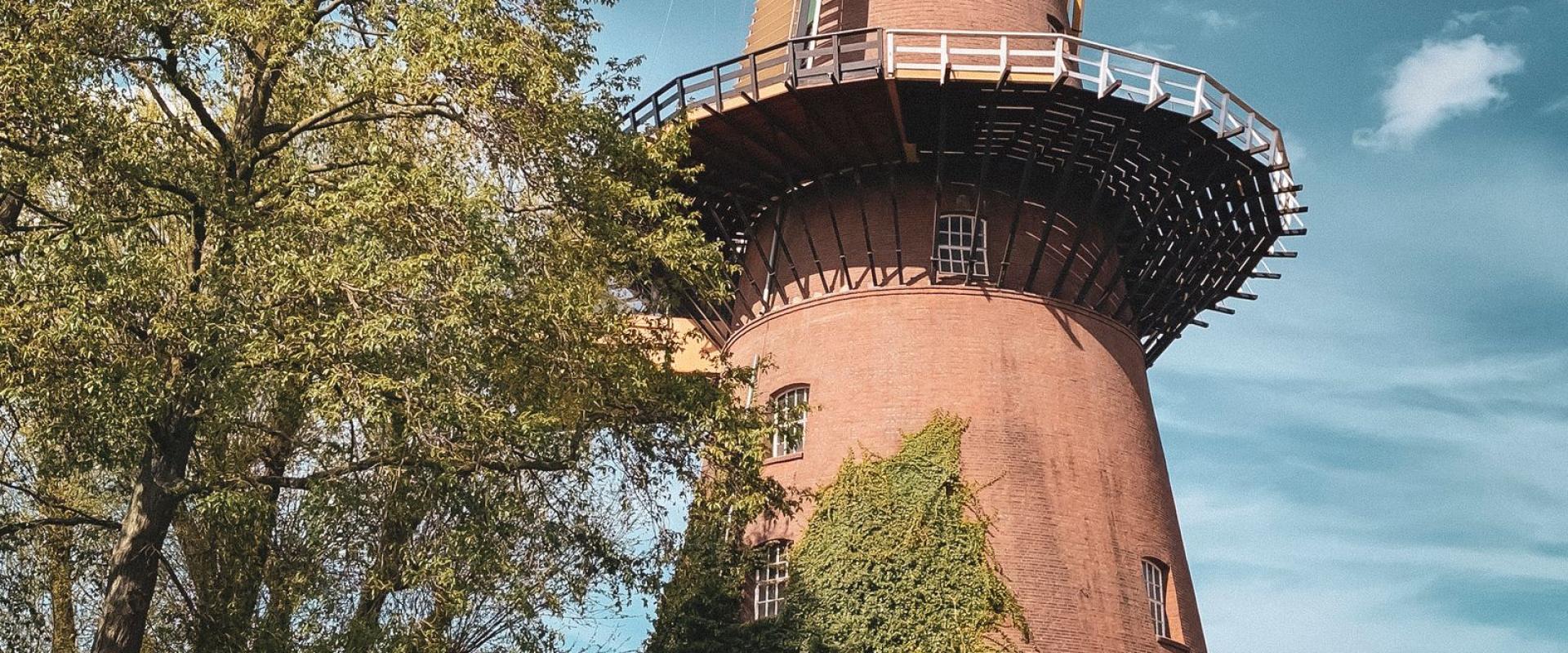 Netherlands on a Budget