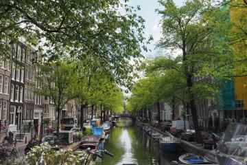 Charming Amsterdam canal view with bicycles, bridge, and lush greenery on a sunny day.
