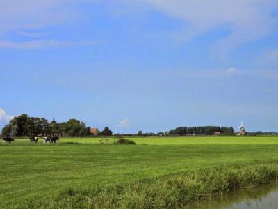 Lollum in Friesland van ver gezien